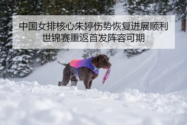 中国女排核心朱婷伤势恢复进展顺利 世锦赛重返首发阵容可期
